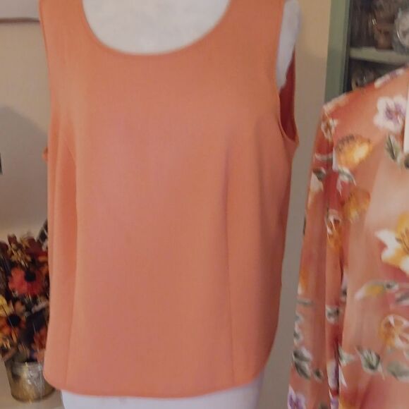 Anna v. Braun Three Piece Tops and Jacket - Picture 8 of 15